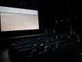 Les salles de cinéma cherchent désespérément leur public cinéphile