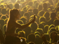 «Pour certains festivals, la billetterie reste poussive, car il y a beaucoup d’offres en ce moment», note le patron des Vieilles Charrues.Archives AFP