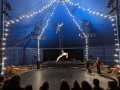 Art du cirque : le chapiteau, un outil d'avenir ?