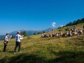 Musique classique: les festivals retrouvent la clé des champs