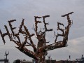 Contre le Hellfest, des ex-stagiaires portent plainte et témoignent : «T’as des grosses loches, ils vont tous vouloir te violer»