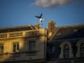 « Le patrimoine est au cœur d’une féroce guerre culturelle et, pour l’instant, c’est la droite qui gagne »
