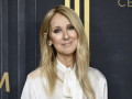 Avec Céline Dion, le modèle de la résidence pour des mégashows s'importe en France