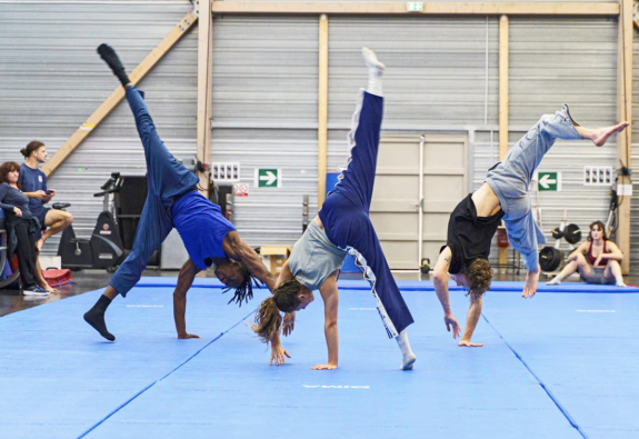 Le cirque français menacé ? La baisse des moyens pour la formation met en difficulté l’ensemble de la filière