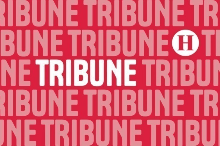 « Ce que la politique tait, la culture l’exprime ! »