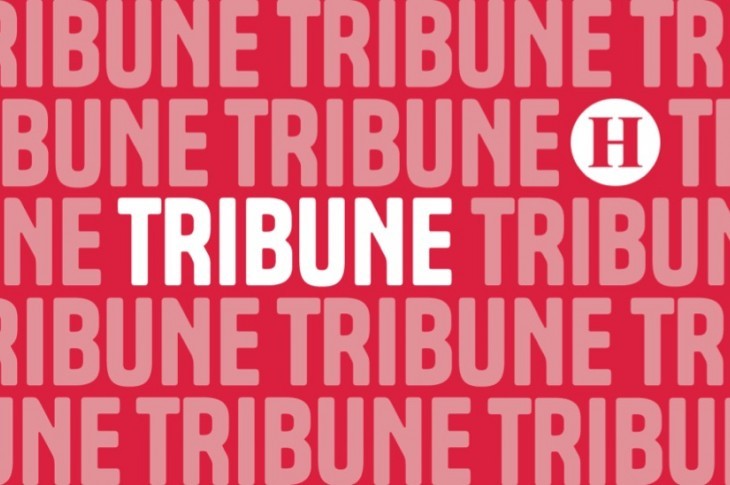 « Ce que la politique tait, la culture l’exprime ! »
