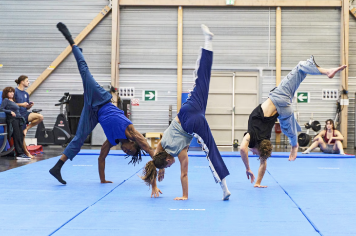 Le cirque français menacé ? La baisse des moyens pour la formation met en difficulté l’ensemble de la filière